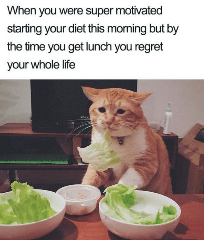 Actually salad is prettt tasty - meme