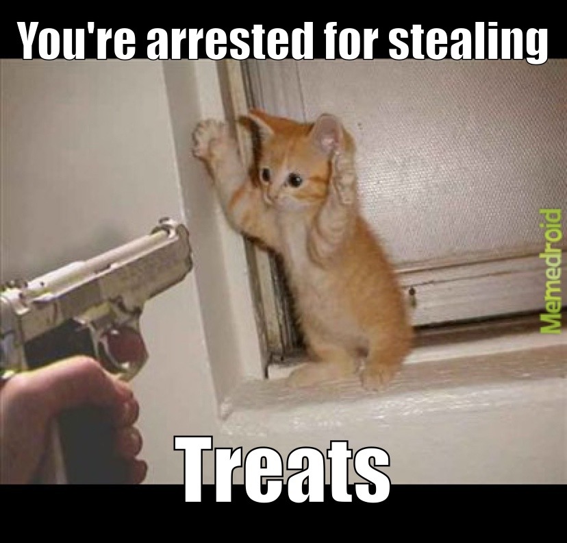 Kitten Criminal - meme