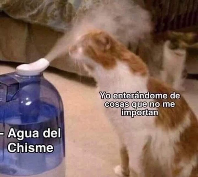 las oficinas deben de ser algo así - meme