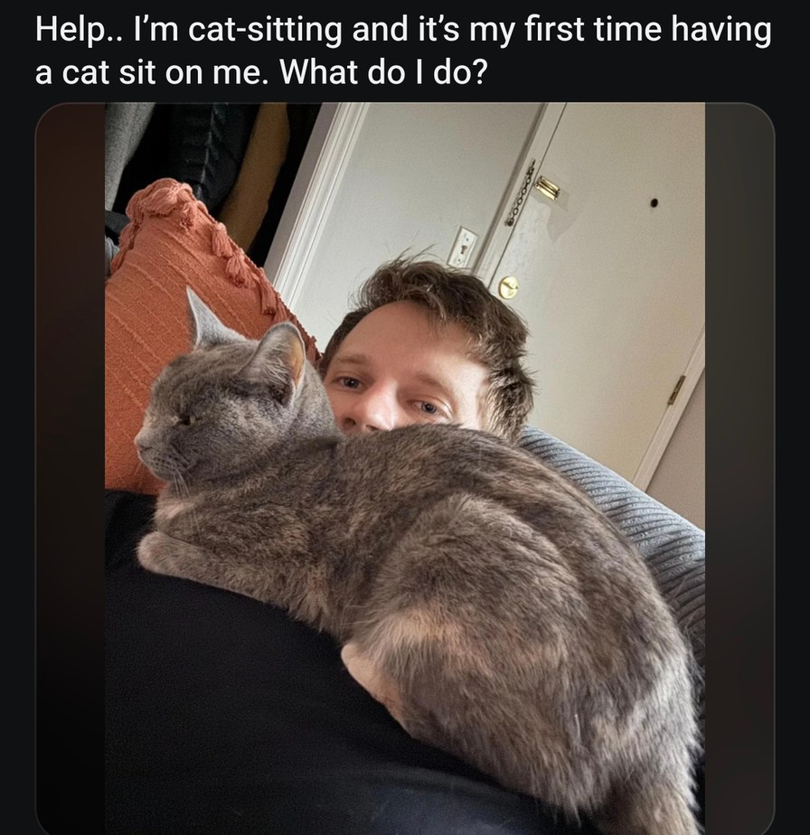 First time cat-sitting and I think I’m being held hostage - meme