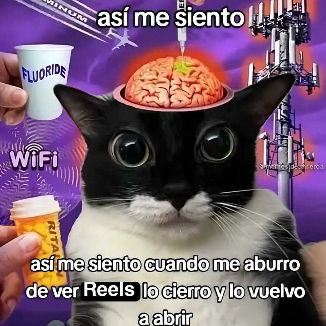 Cuando me aburro de ver Reels, lo cierro y lo vuelvo a abrir - meme
