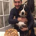 Happy doggo gets cake
