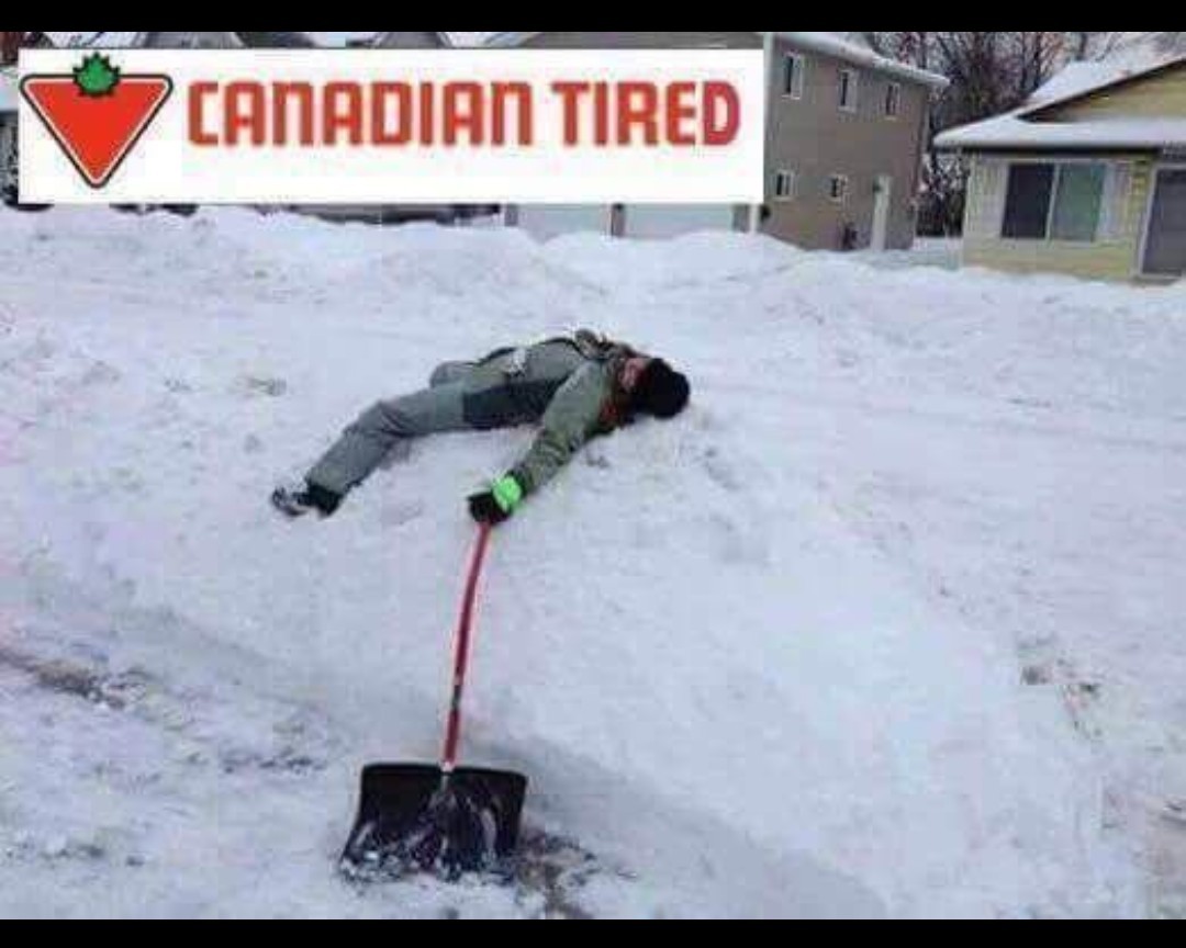 Canadian tire = store - meme