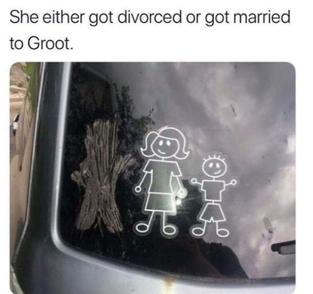 Si either got divorced or got married to Groot - meme