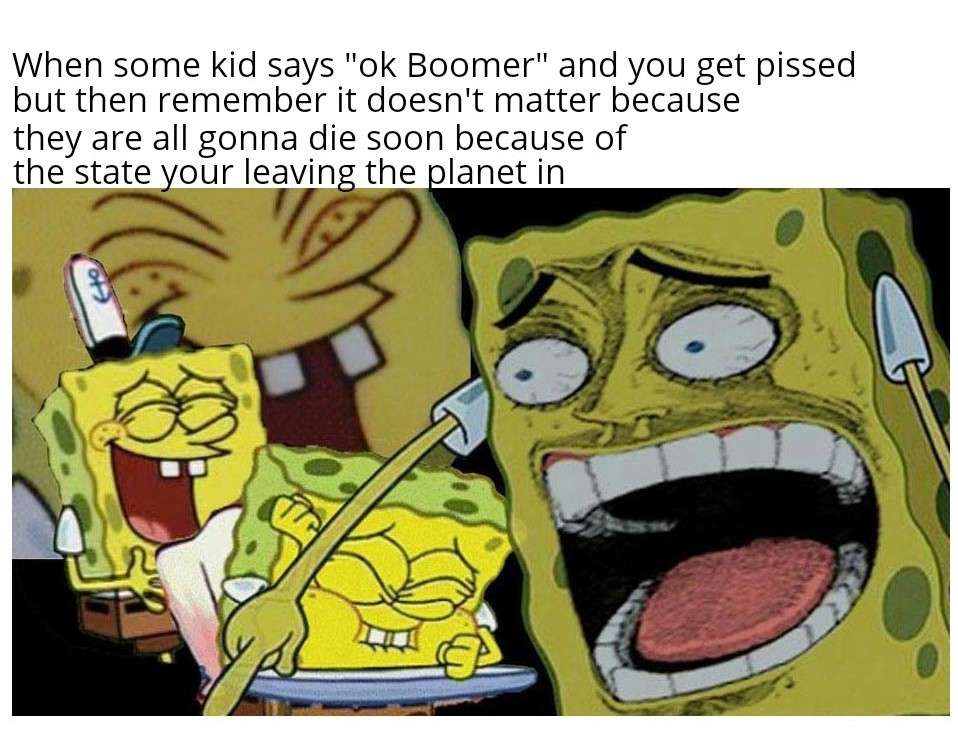 Death by boomers - meme