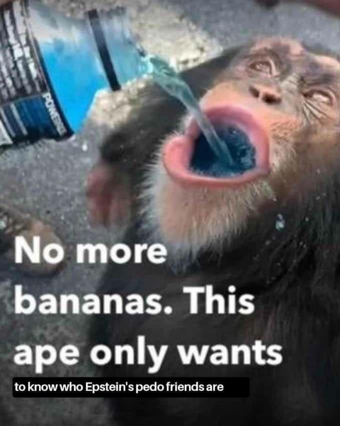 Even monkeys - meme