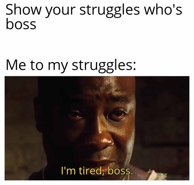 Show your struggles who's boss - meme