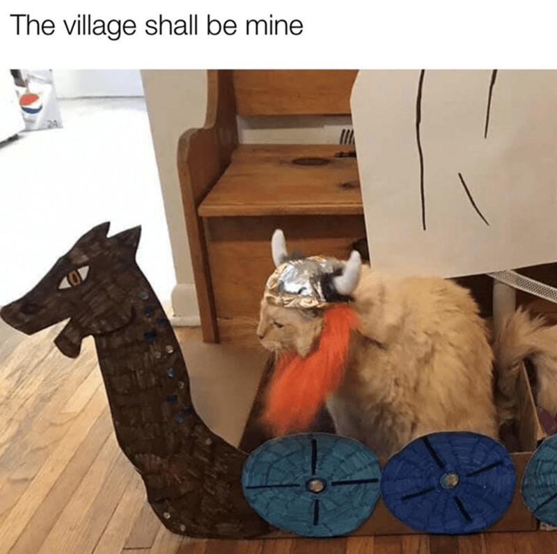 The cutest viking ever - meme