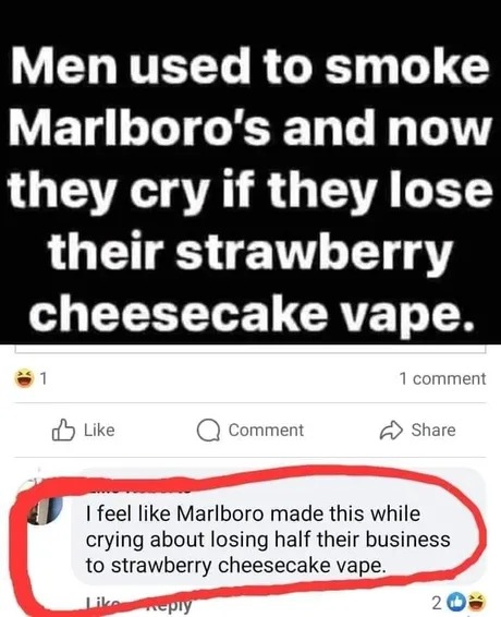 Yes bro, but vaping is lame af - meme