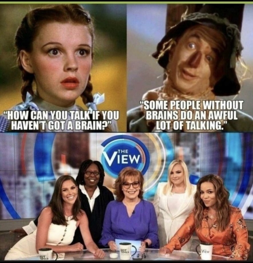 The "View- When Your Head is Shoved Up Your @$$" - meme
