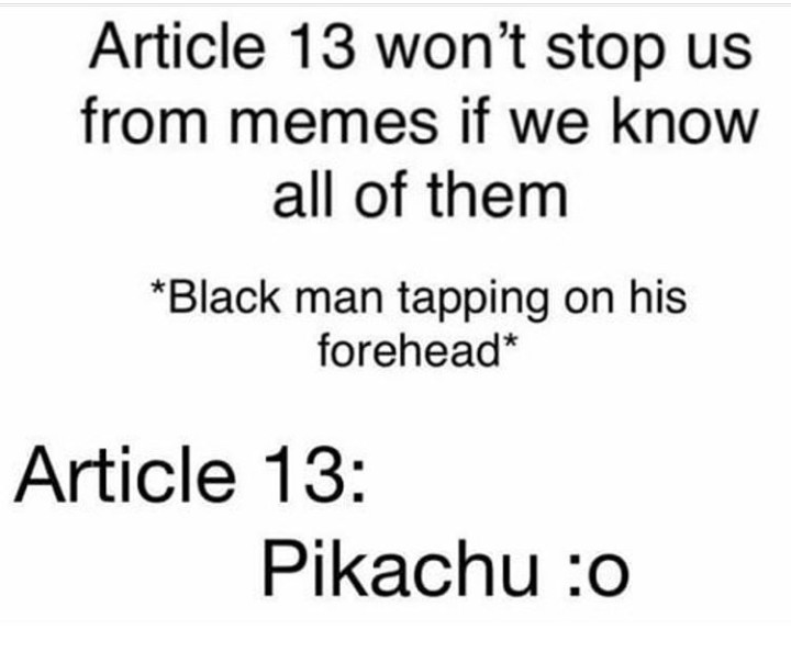 F U ARTICLE 13. - meme
