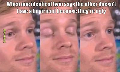 Twins - meme