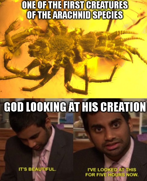 God Is Truly An Interesting One... - meme