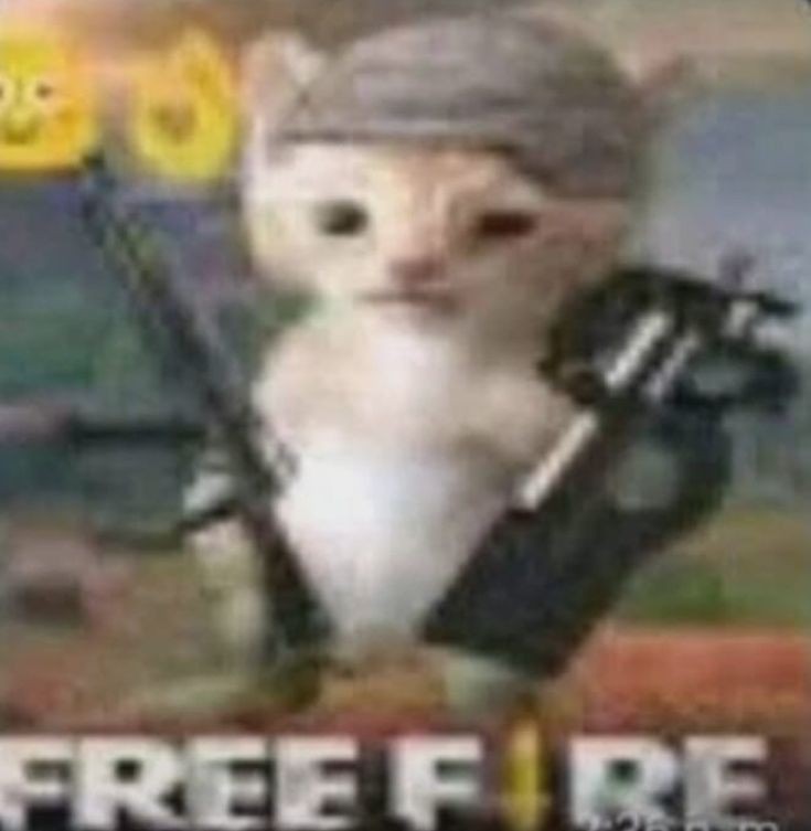 Gato free fire - meme
