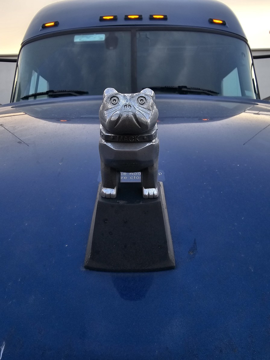 Invest in my hood ornament after his first time in CA - meme