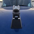 Invest in my hood ornament after his first time in CA