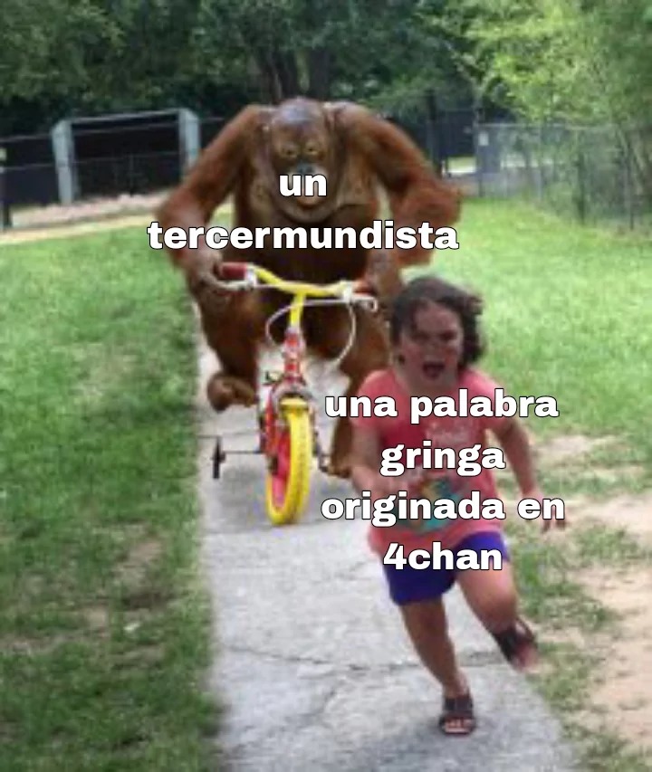 Simp, edgy, proyeccion entre otras palabras que los mierdaposters normies spics latinomierdicanos y twitteros deformaron su significado con el tiempo - meme