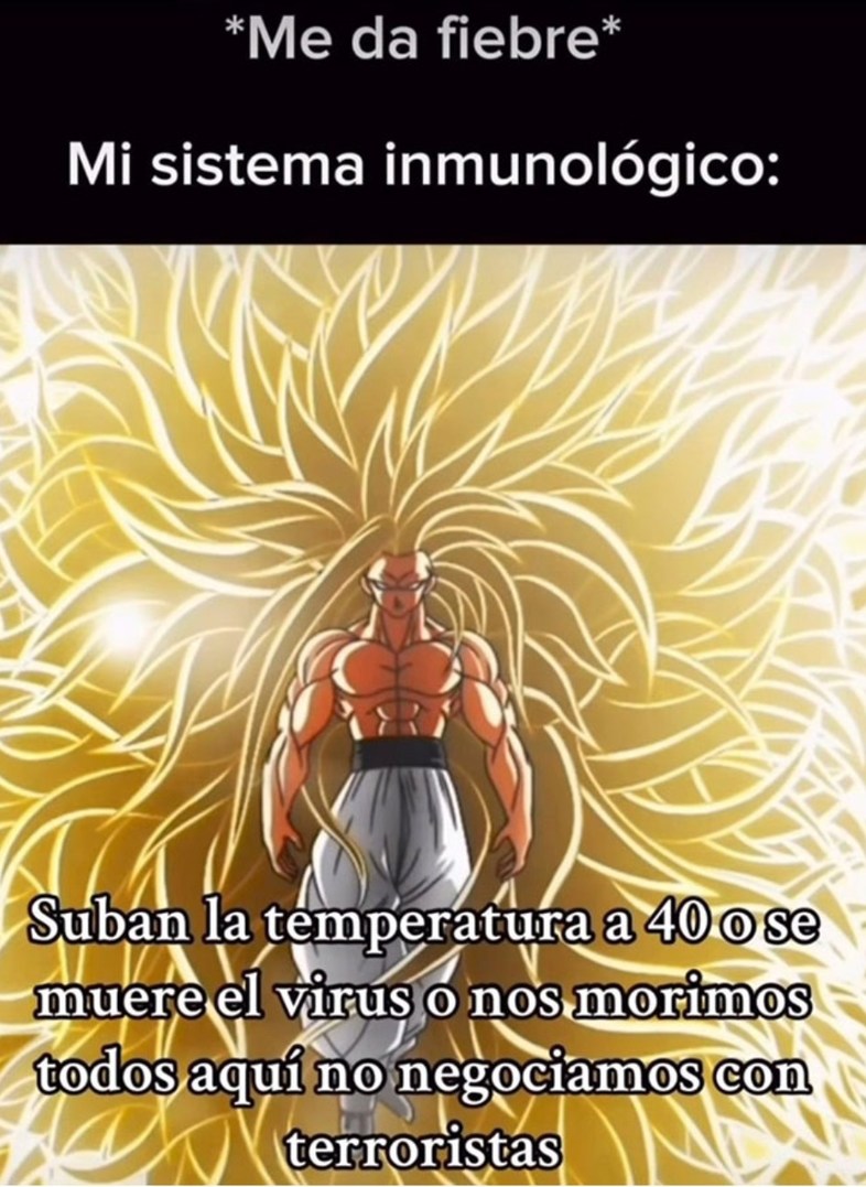Sistema inmunológico modo kamikaze: 40 grados o nada - meme