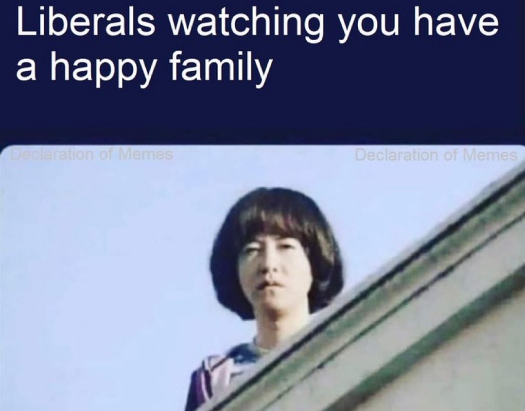 lol - meme