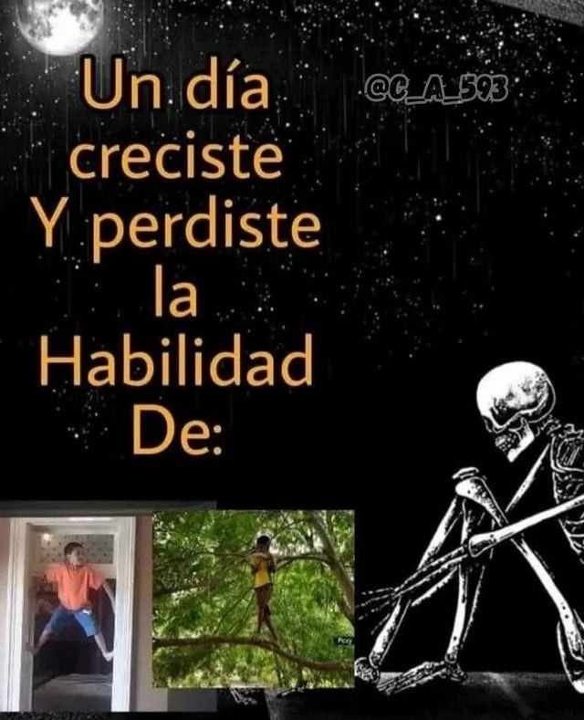 Un día creciste y perdiste la habilidad de ser feliz sin razón - meme
