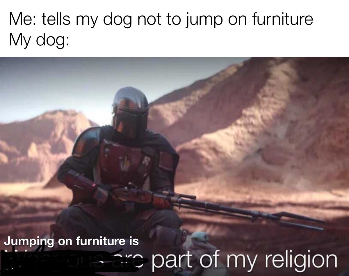 I have a Rottweiler - meme