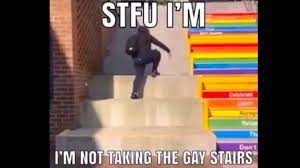 When the furry takes the gay stairs - meme