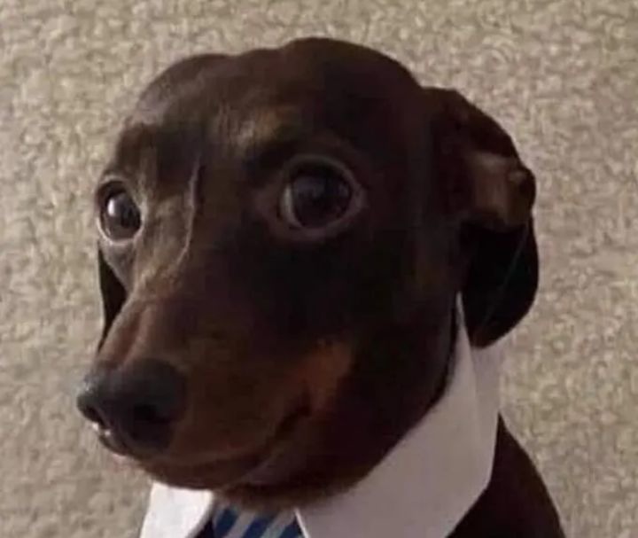Mi anterior fdp - meme
