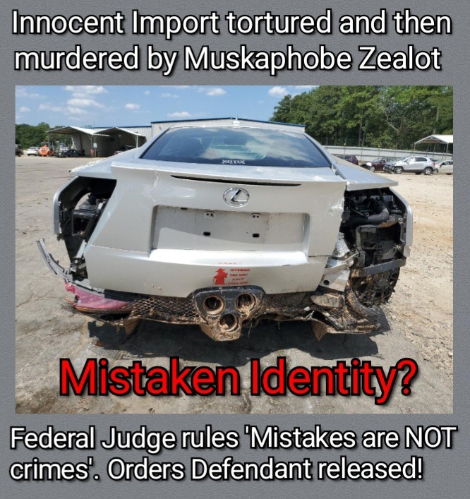 Anti-Elon Terrorists Run Amok - meme