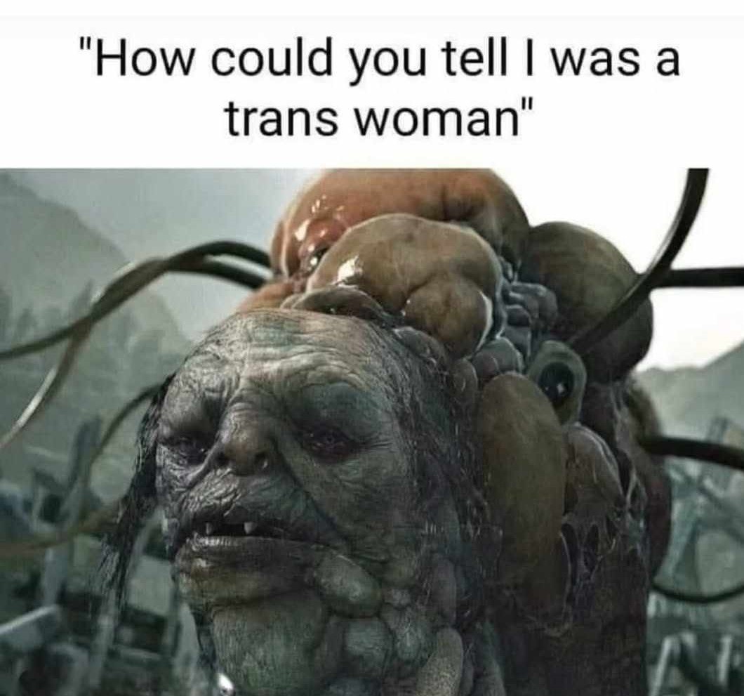 Hard to tell - meme