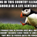 Or give an incentive to not come here illegally