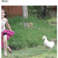 Get some Aflac lil whores