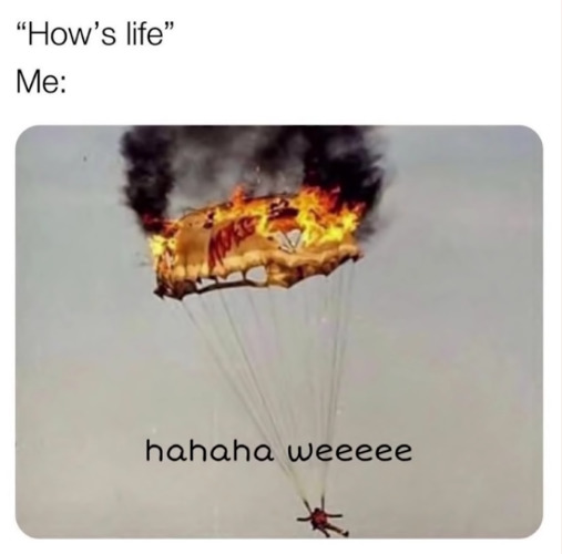 i have a "great" life - meme