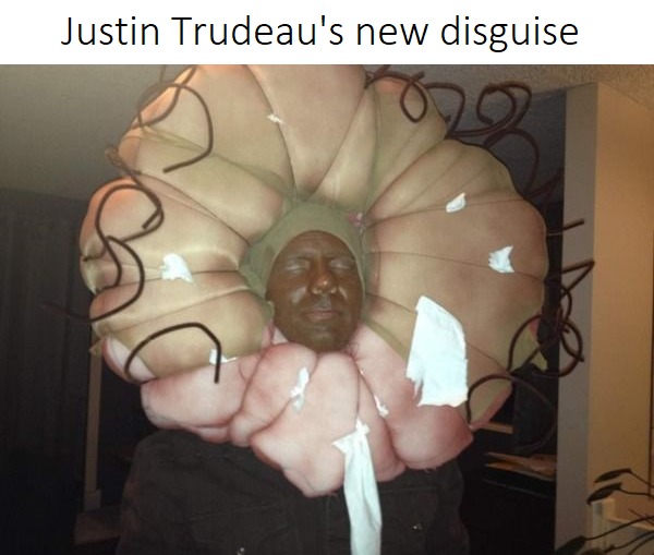 Trudeau's new disguise - meme