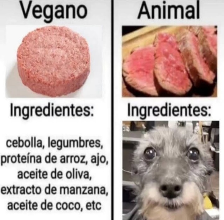 Ponto de vista dos veganos - meme