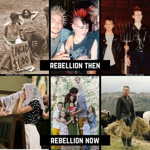 The Sex Pistol's lead, Johnny Rotten, thinks the left is lame now. - meme