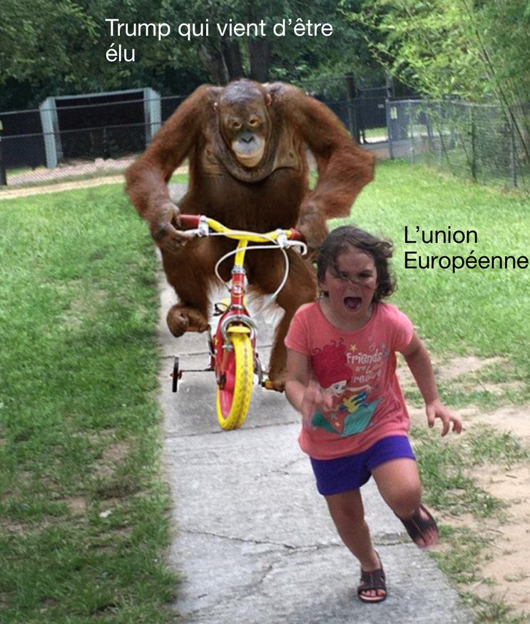 Élection U.S - meme