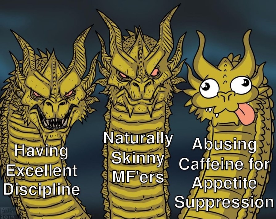 Excellent discipline always wins - meme