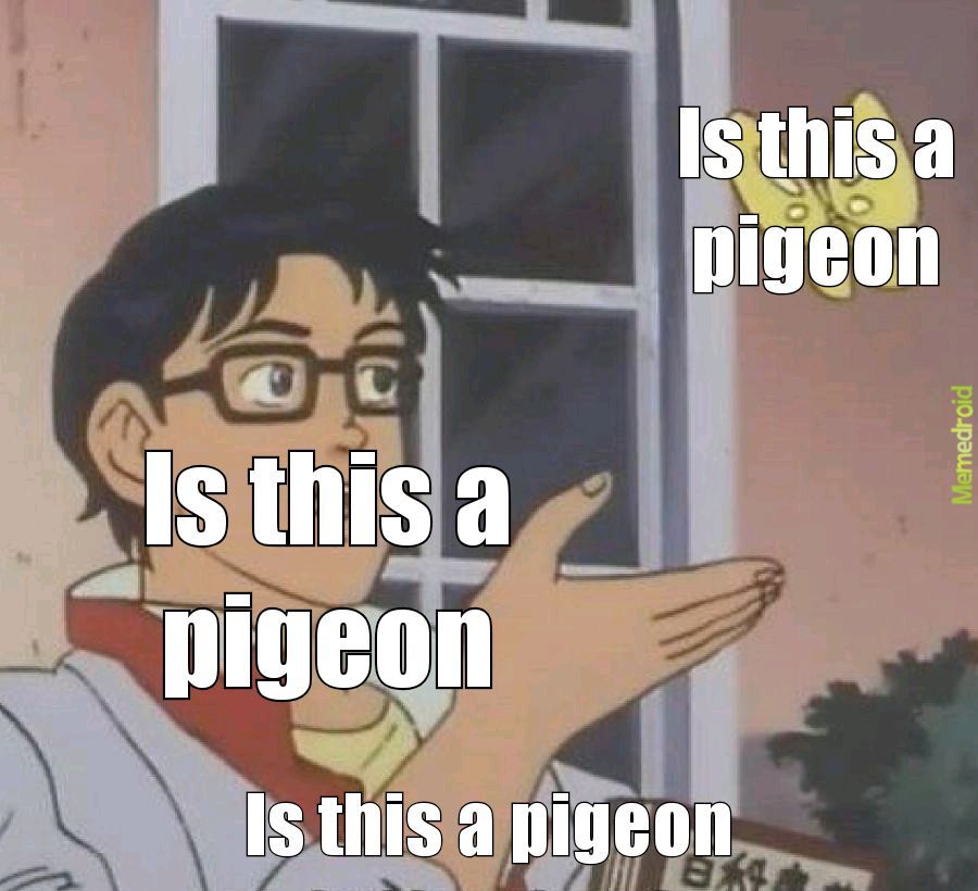 Is this a pigeon - meme