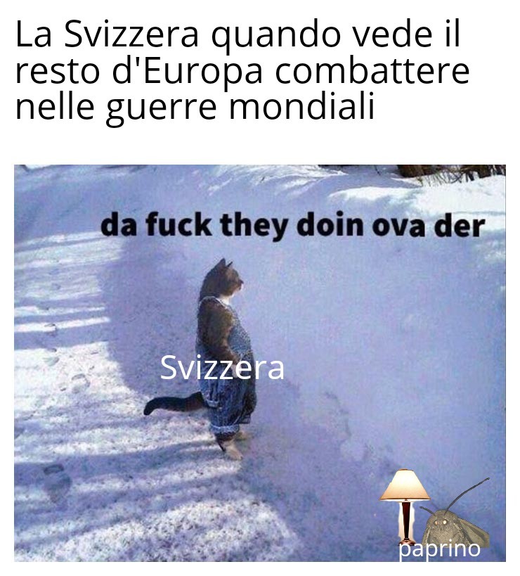 Povera Svizzera - meme