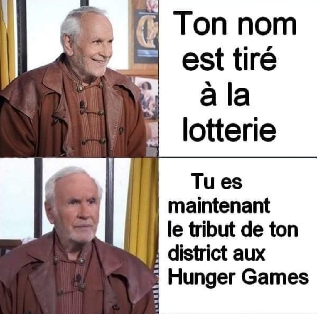 Hunger games - meme