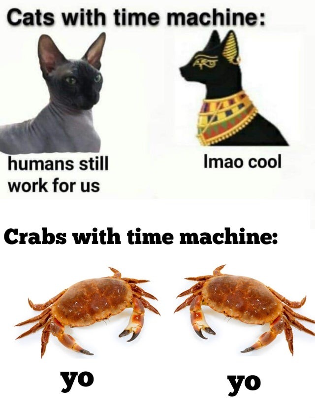 Cats with time machine - meme