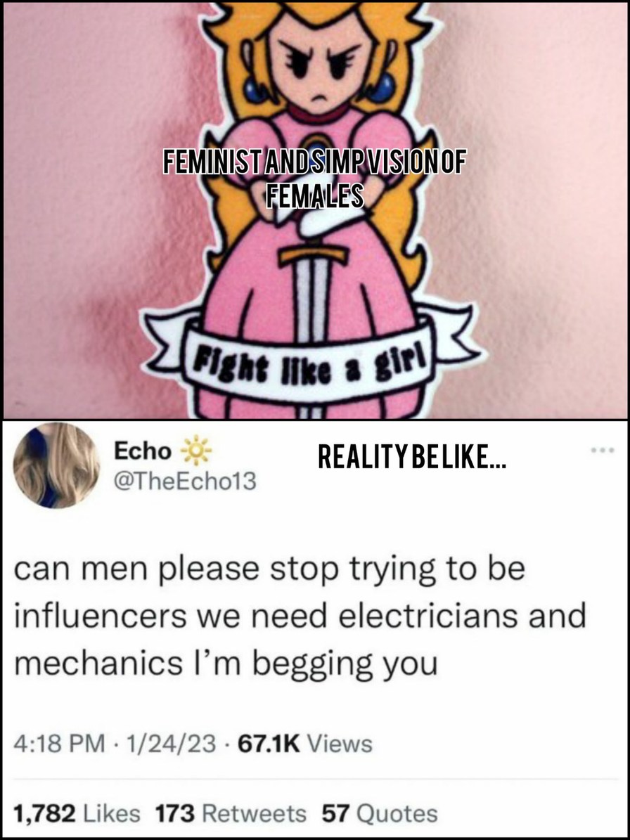 Strong Independent Women Who Don't Need No Man Can Do The Jobs - meme