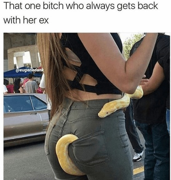 Snake - meme