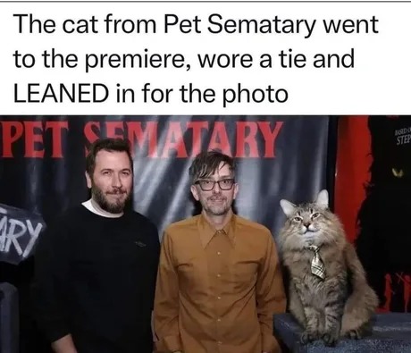 Pet Sematary cat - meme