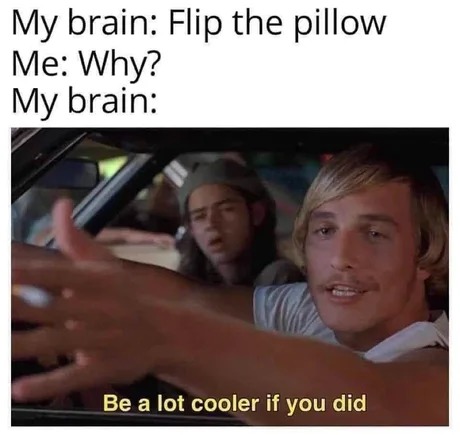 Be a lot cooler if you did - meme