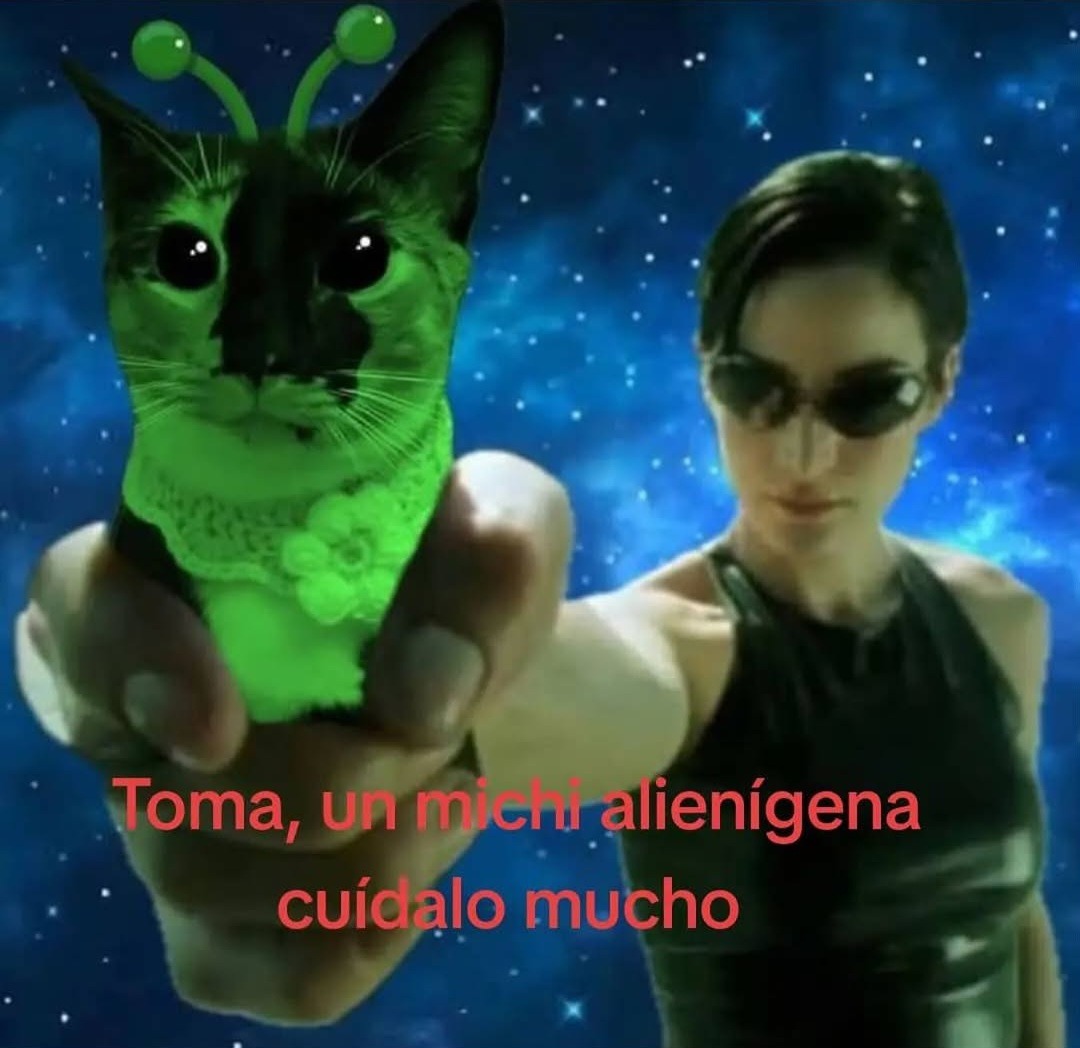 Michi memedroider (me lo van a rechazar/cagarla a negativos xd)