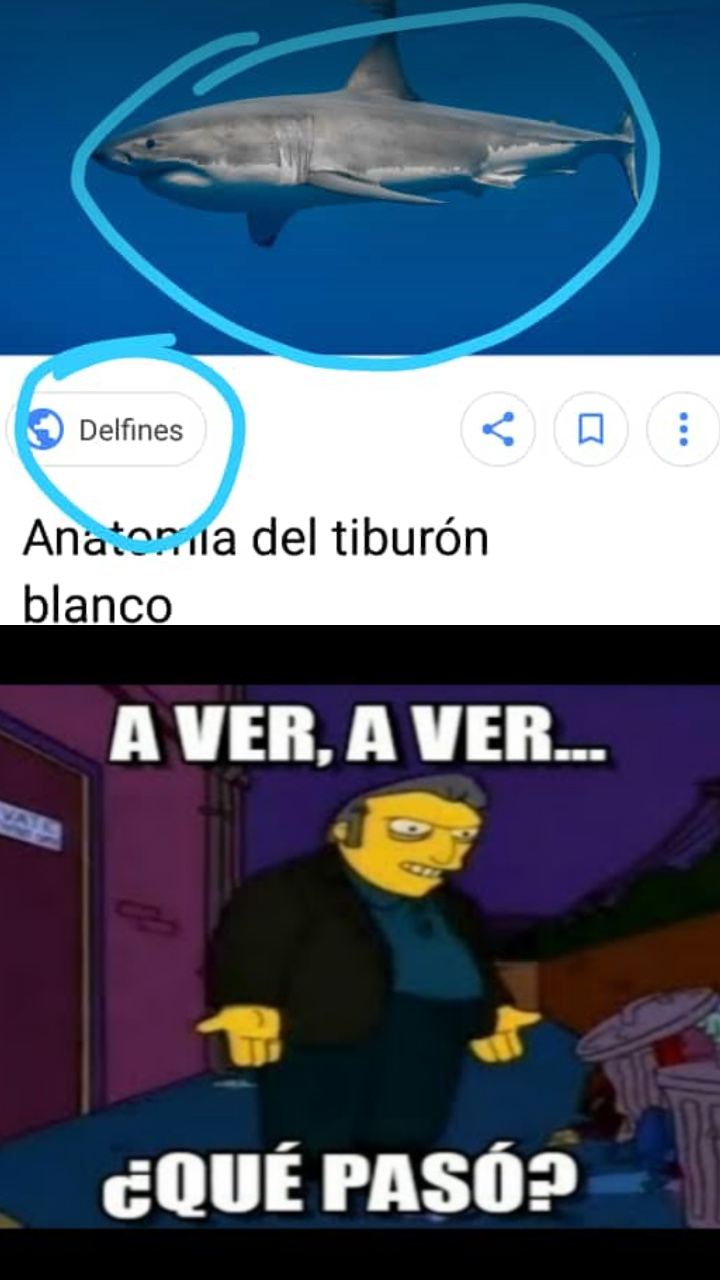 parangaricutirimicuaro - meme