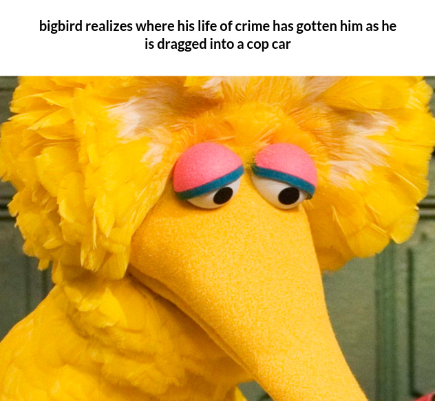 big bird - meme