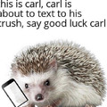 Good luck Carl