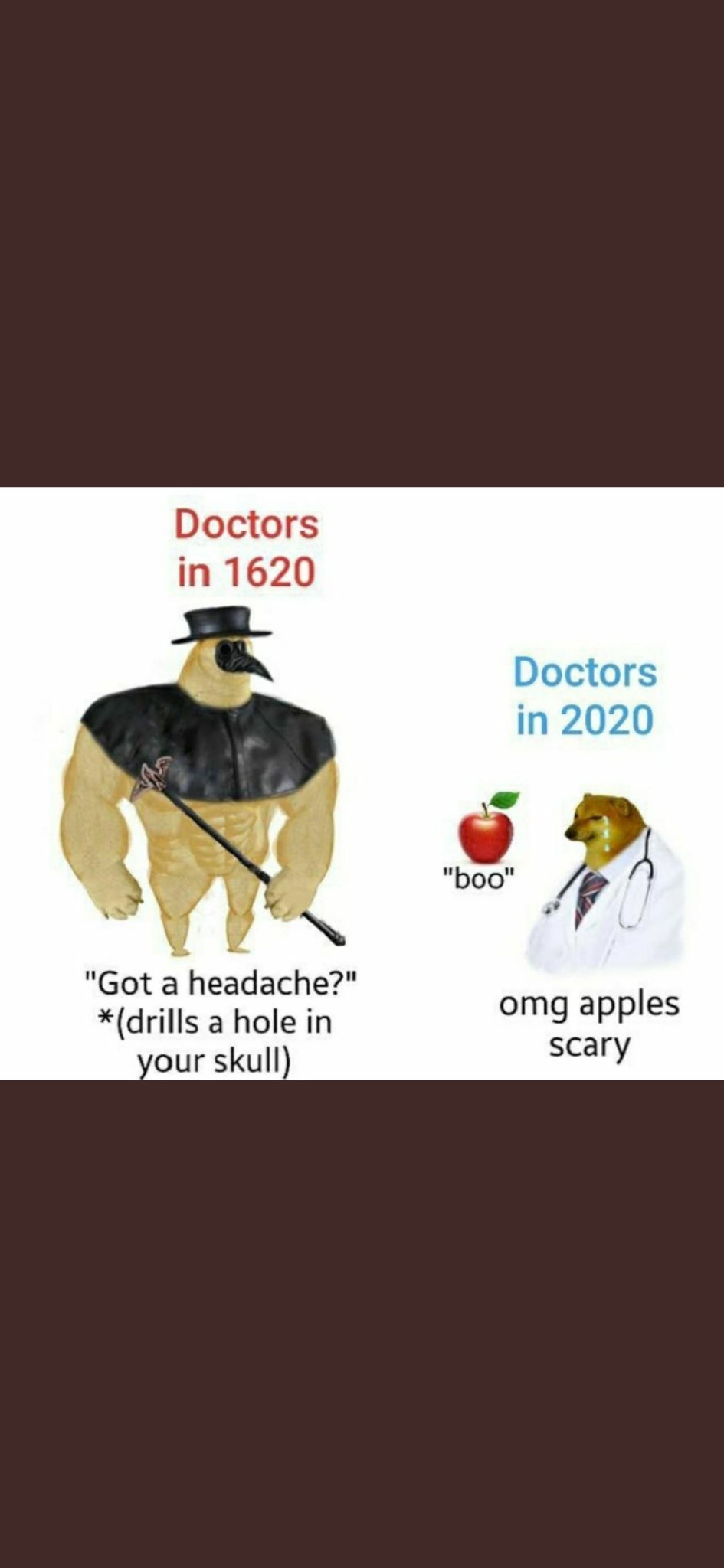 doctors in a shell - meme